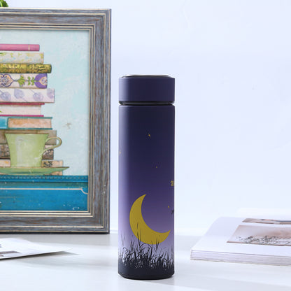 Stainless Steel Insulated Water Bottle with Cartoon Design
