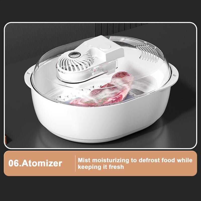 6 - in - 1 Thawing Plate for Nutritious Meat Defrosting - AriaCo.