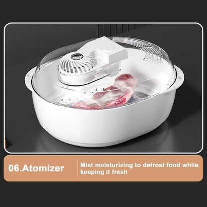 6 - in - 1 Thawing Plate for Nutritious Meat Defrosting - AriaCo.