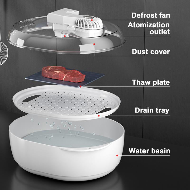 6 - in - 1 Thawing Plate for Nutritious Meat Defrosting - AriaCo.