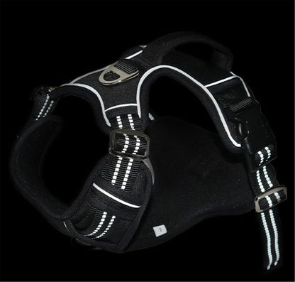 Durable Waterproof Pet Harness with Vertical Handle - AriaCo.
