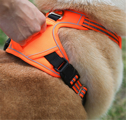 Durable Waterproof Pet Harness with Vertical Handle - AriaCo.
