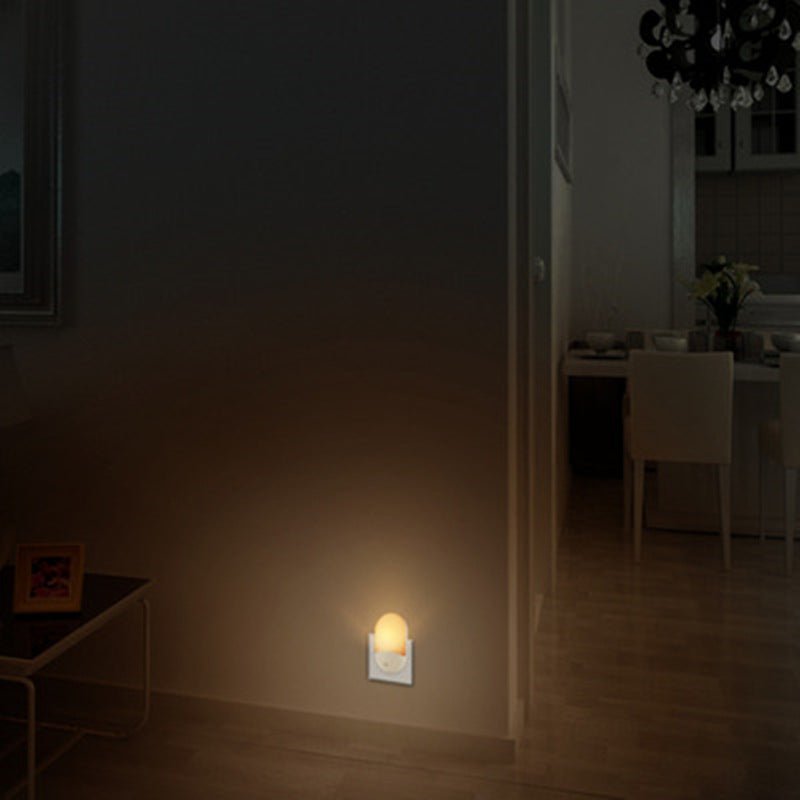 LED Wall Light with Plug - in and Light Control Night Light - AriaCo.