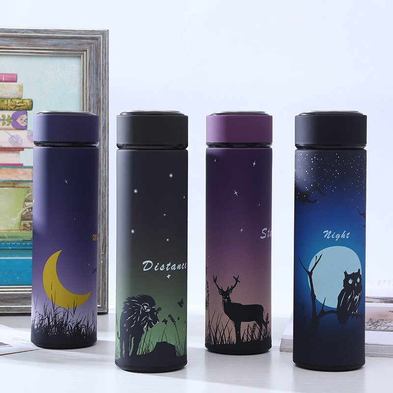Stainless Steel Insulated Water Bottle with Cartoon Design - AriaCo.