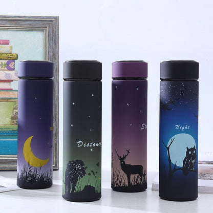 Stainless Steel Insulated Water Bottle with Cartoon Design - AriaCo.