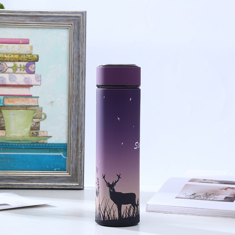 Stainless Steel Insulated Water Bottle with Cartoon Design - AriaCo.