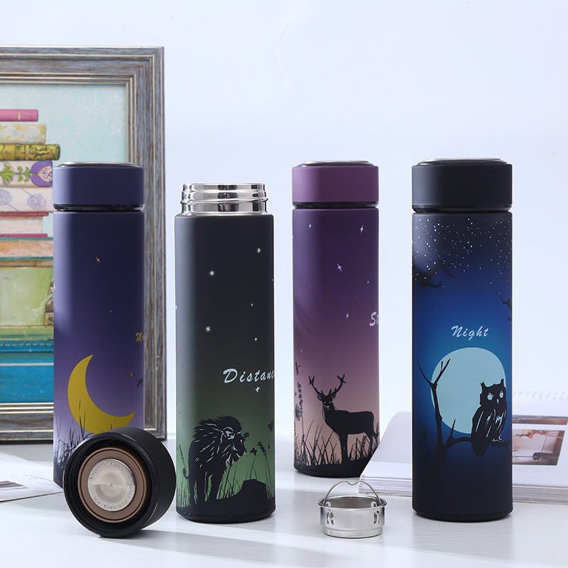 Stainless Steel Insulated Water Bottle with Cartoon Design - AriaCo.