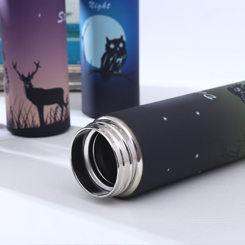 Stainless Steel Insulated Water Bottle with Cartoon Design - AriaCo.
