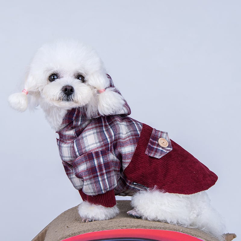 Teddy VIP Pomeranian Small Dog Cashmere Coat - AriaCo.