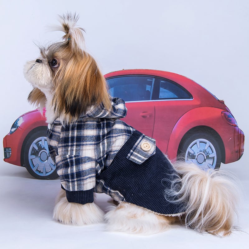 Teddy VIP Pomeranian Small Dog Cashmere Coat - AriaCo.