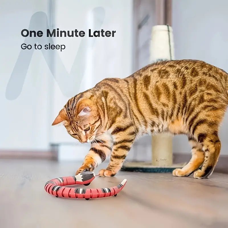 USB Charging Interactive Snake Toy for Cats - Endless Fun - AriaCo.