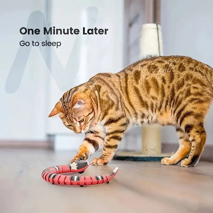 USB Charging Interactive Snake Toy for Cats - Endless Fun - AriaCo.